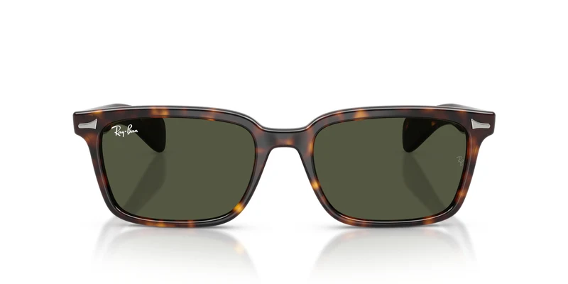 Ray-Ban RB2234 BRUNEL 902/31 56