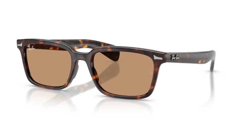 Ray-Ban RB2234 BRUNEL 902/53 56