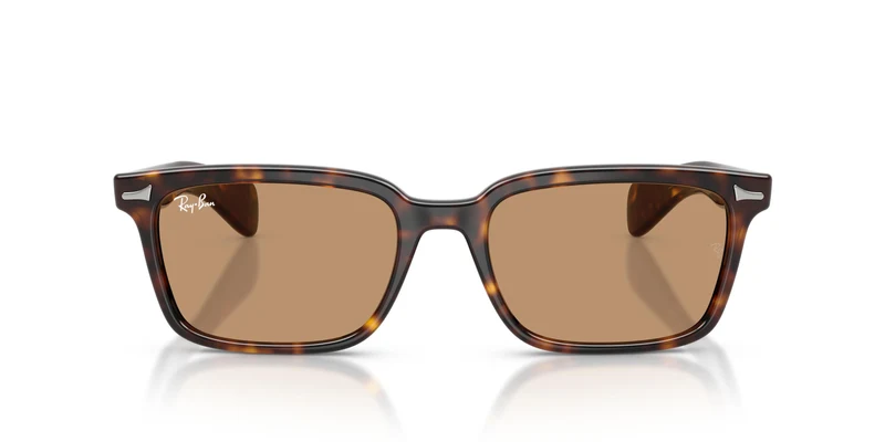 Ray-Ban RB2234 BRUNEL 902/53 56