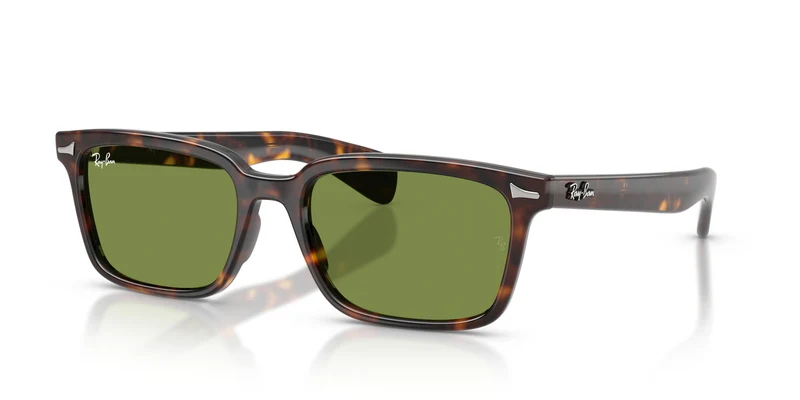 Ray-Ban RB2234 BRUNEL 902/4E 56