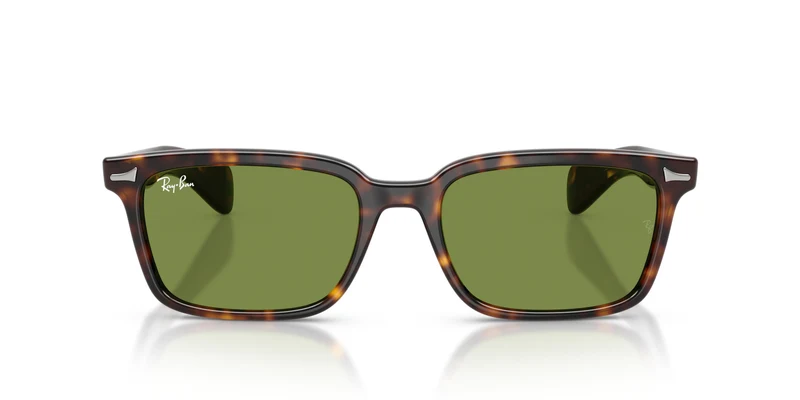 Ray-Ban RB2234 BRUNEL 902/4E 53