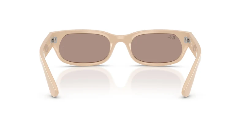 Ray-Ban RB2236 69004Q 54
