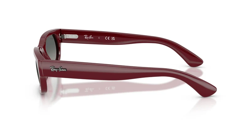 Ray-Ban RB2236 689971 54
