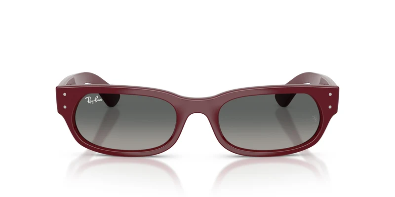 Ray-Ban RB2236 689971 54
