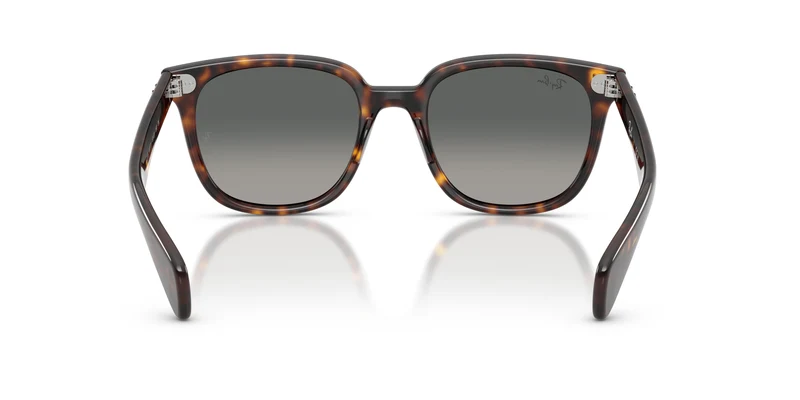Ray-Ban RB2235 BRUNEL II 902/71 53