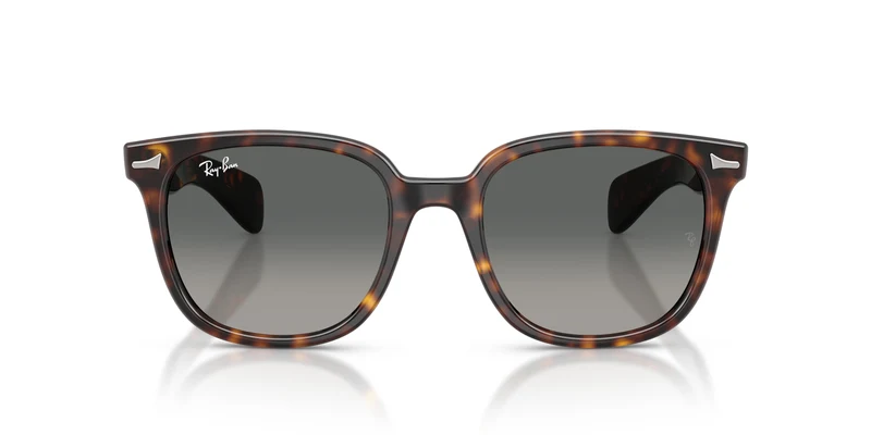 Ray-Ban RB2235 BRUNEL II 902/71 53