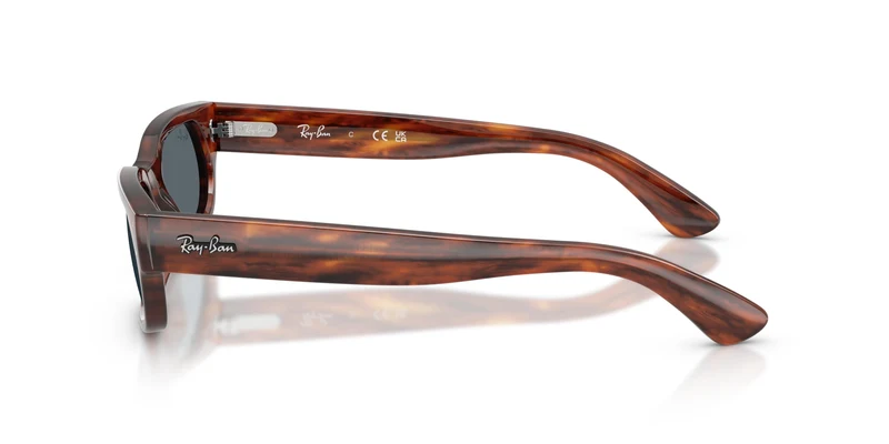 Ray-Ban RB2236 954/R5 54