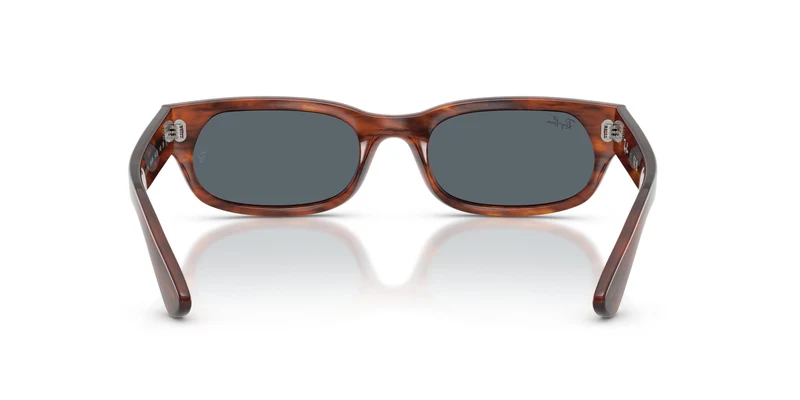 Ray-Ban RB2236 954/R5 54