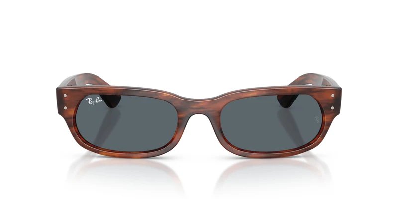 Ray-Ban RB2236 954/R5 54
