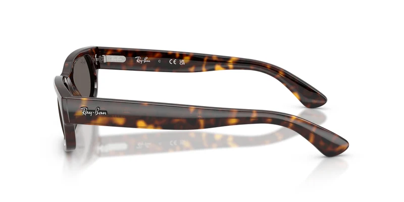 Ray-Ban RB2236 902/B1 54