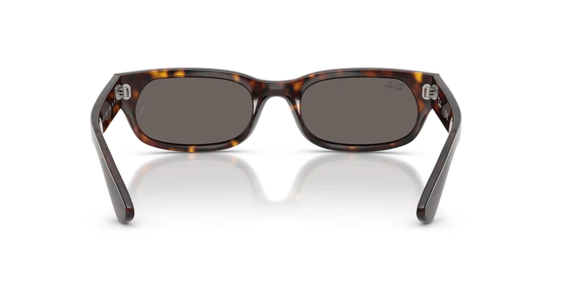 Ray-Ban RB2236 902/B1 54