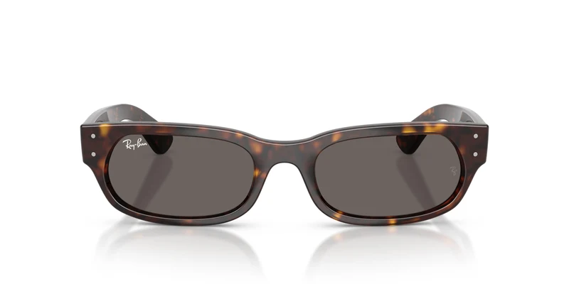 Ray-Ban RB2236 902/B1 54