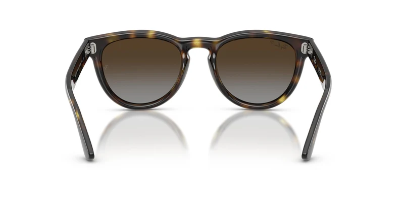 Ray-Ban RB2237 710/T5 51