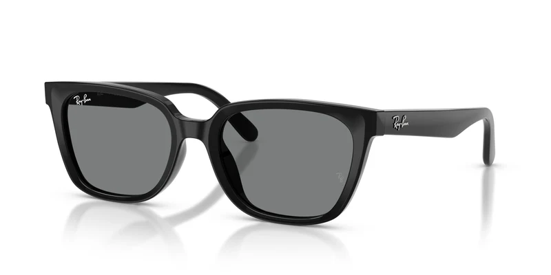 Ray-Ban RB2243D 901/87 55