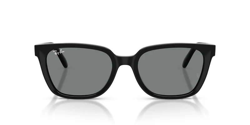 Ray-Ban RB2243D 901/87 55