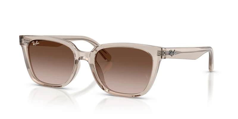 Ray-Ban RB2243D 682713 55