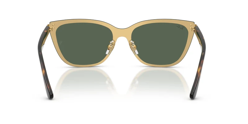 Ray-Ban RB3798D 001/71