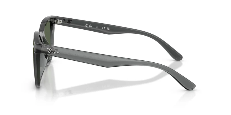 Ray-Ban RB4420 691971 65
