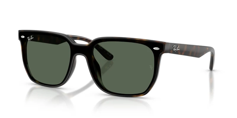 Ray-Ban RB4466D 710/71