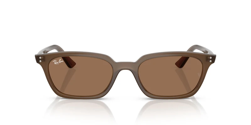 Ray-Ban RB4456 ZAYA 677973 53