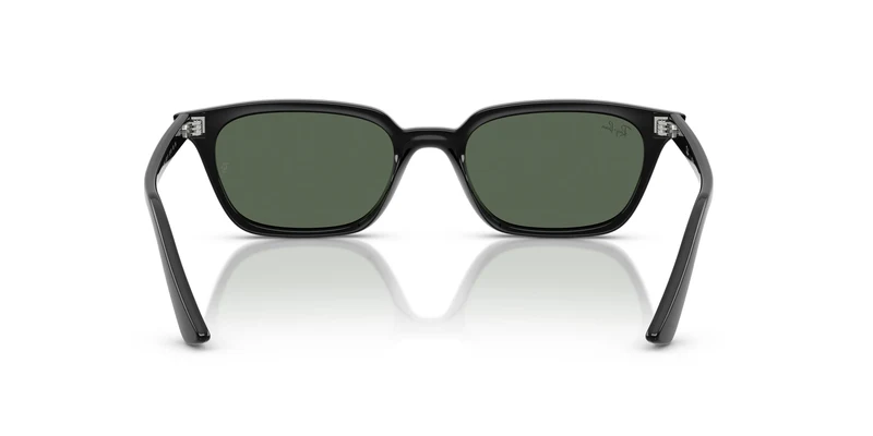 Ray-Ban RB4456 ZAYA 667771 53