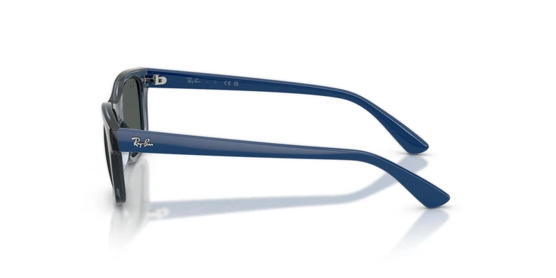 Ray-Ban Kids RJ9086S 711087 46