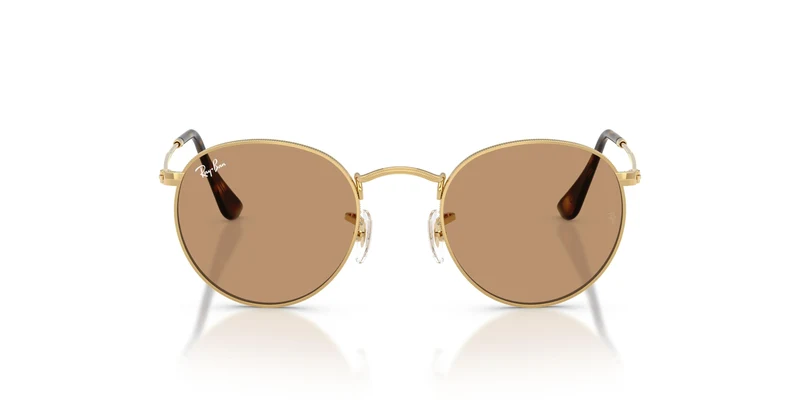 Ray-Ban RB3447 ROUND METAL 001/53 50