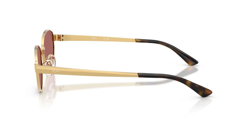 Ray-Ban RB3774D 001/69 55