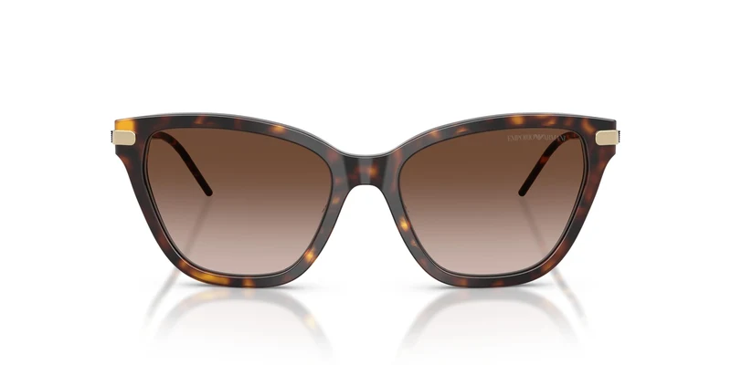 Emporio Armani EA4251 502613 54