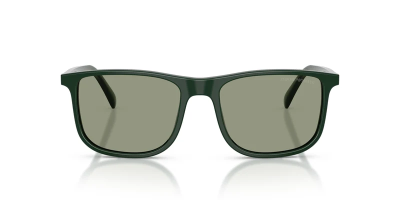 Emporio Armani EA4280 6173/2 54