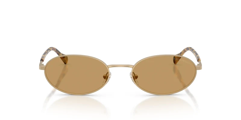 Emporio Armani EA2175 300273 54