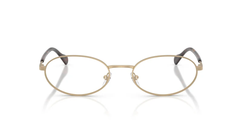 Emporio Armani EA2175 30021W 54