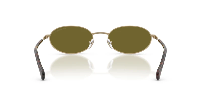 Emporio Armani EA2175 3002/2 54