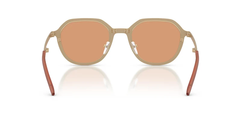 Emporio Armani EA2176 3002/7 51