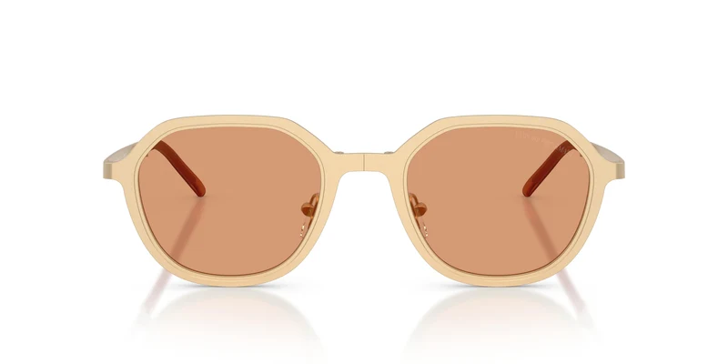 Emporio Armani EA2176 3002/7 51