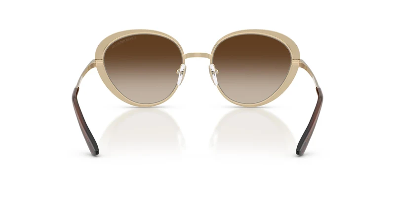 Emporio Armani EA2177 344113 51