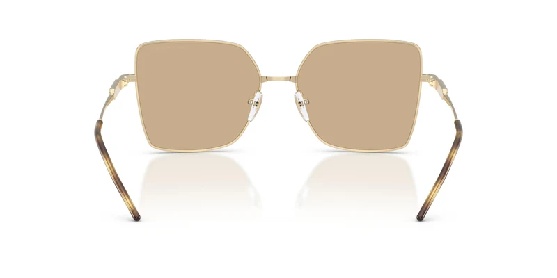 Emporio Armani EA2179 301373 56