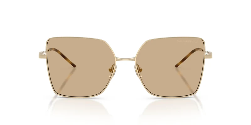 Emporio Armani EA2179 301373 56