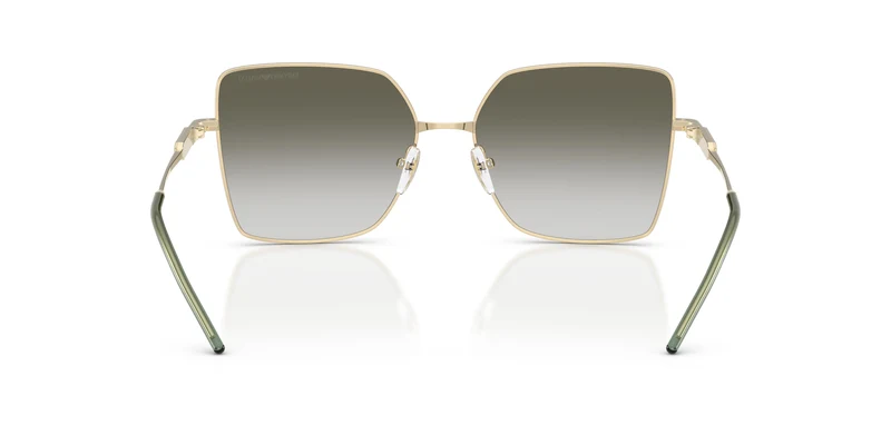 Emporio Armani EA2179 30132A 56