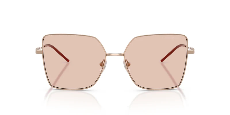 Emporio Armani EA2179 301173 56