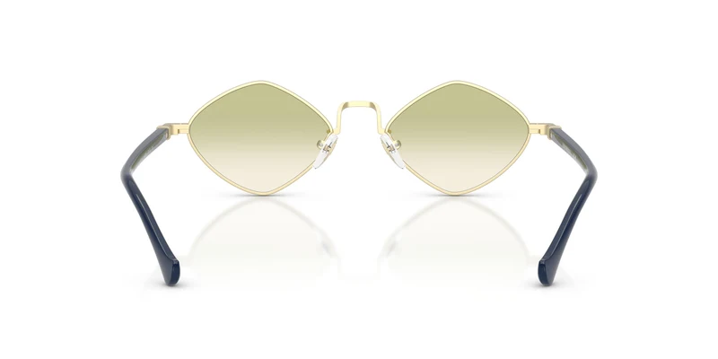 Emporio Armani EA2182 30028E 50