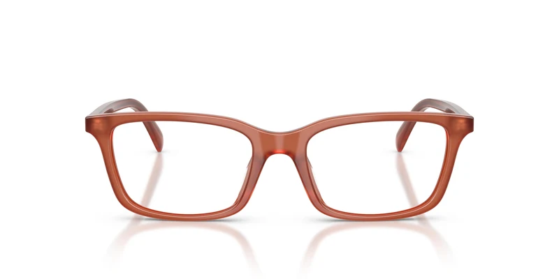 Emporio Armani EA3290U 6455 51