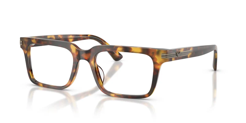 Emporio Armani EA3293U 5993 53
