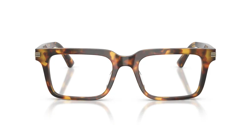 Emporio Armani EA3293U 5993 53