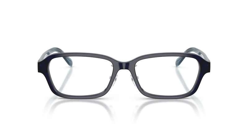 Emporio Armani EA3295D 5358 54