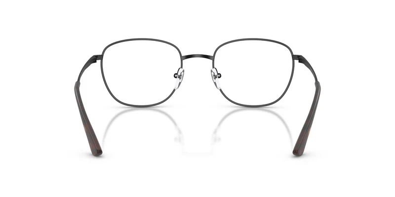 Emporio Armani EA1191 3001 53