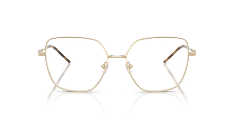 Emporio Armani EA1192 3013 54