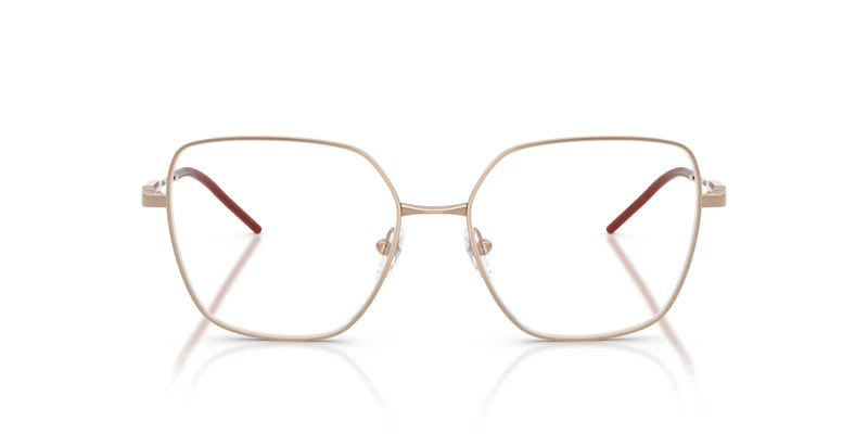 Emporio Armani EA1192 3011 54