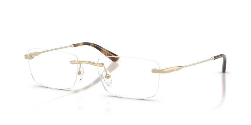 Emporio Armani EA1195TD 3013 54