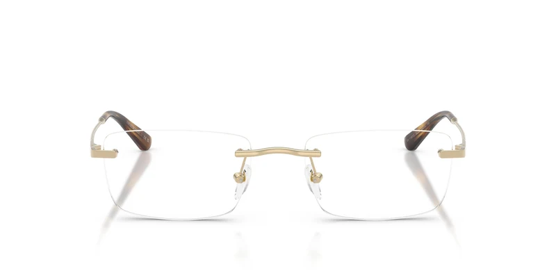 Emporio Armani EA1195TD 3013 54